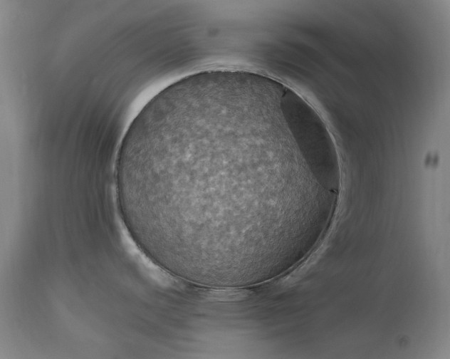 X0000115451440200911181537