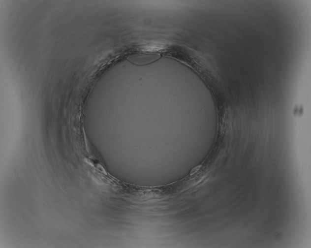 X0000115451441200911181536