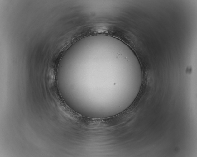 X0000115451442200911181536