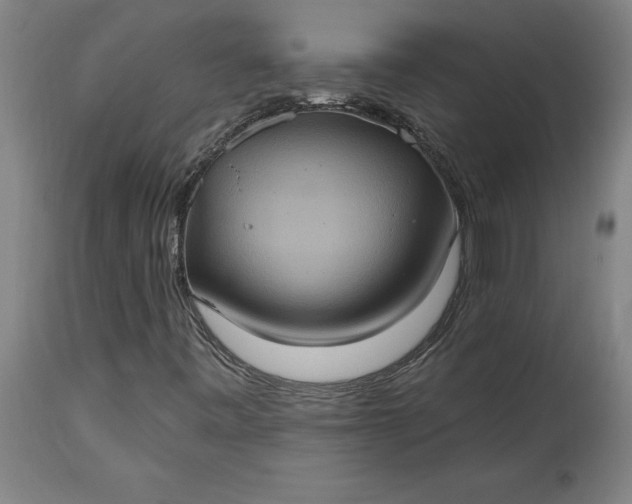 X0000115451443200911181536