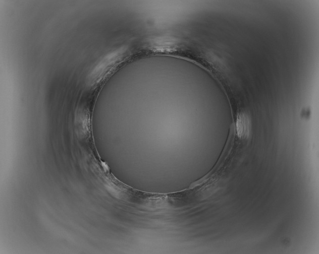 X0000115451444200911181536