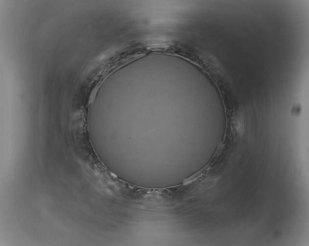 X0000115451445200911181536