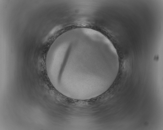 X0000115451446200911181536