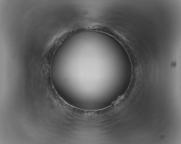 X0000115451447200911181536