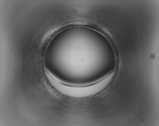 X0000115451448200911181536