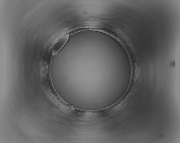 X0000115451449200911181536