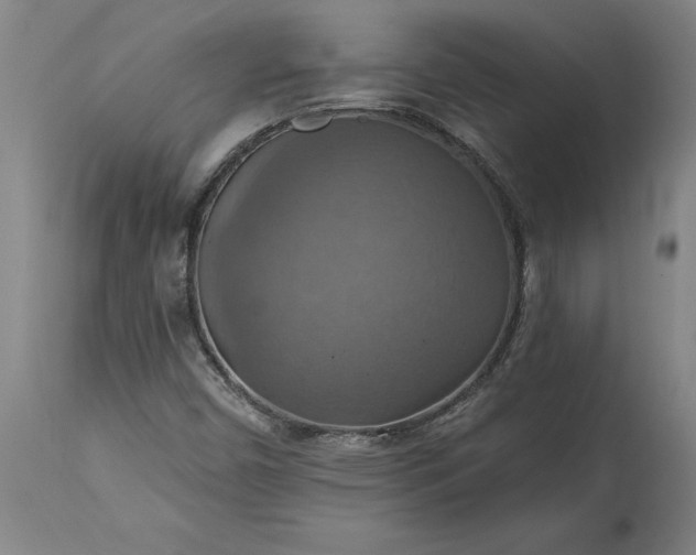 X0000115451450200911181536