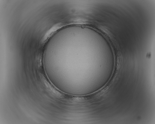 X0000115451451200911181536