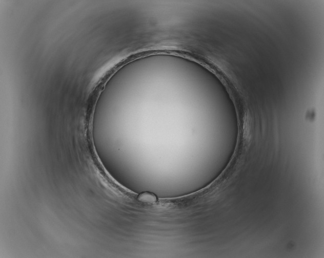 X0000115451452200911181536