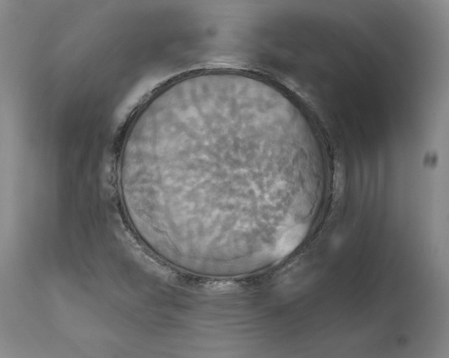 X0000115451454200911181536