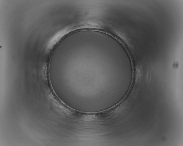 X0000115451455200911181536