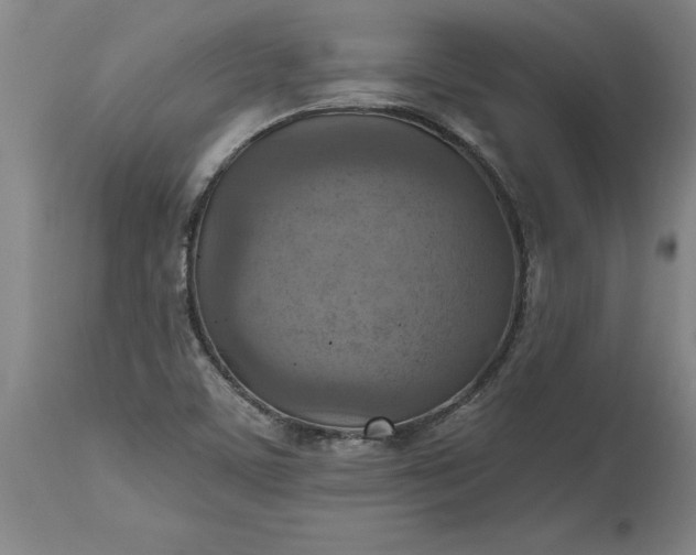 X0000115451459200911181536