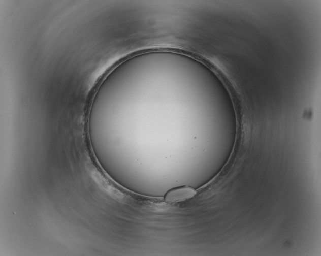 X0000115451460200911181536