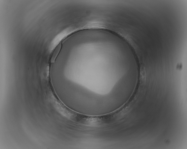 X0000115451461200911181536