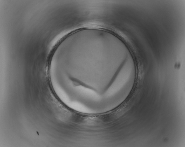 X0000115451462200911181536