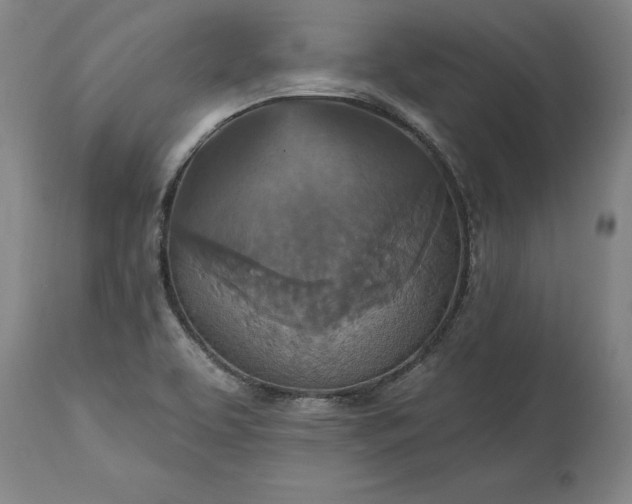 X0000115451463200911181536