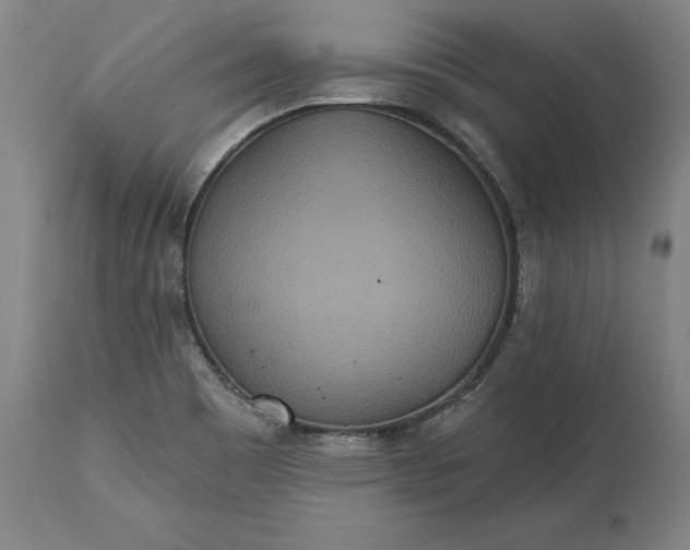 X0000115451465200911181535