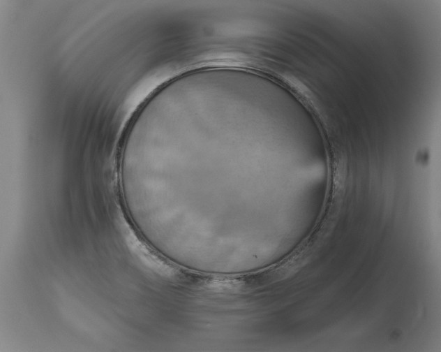 X0000115451466200911181535