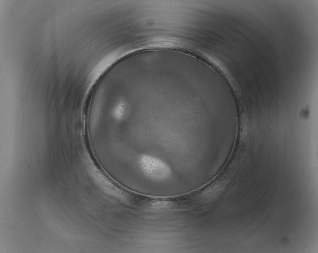 X0000115451467200911181535