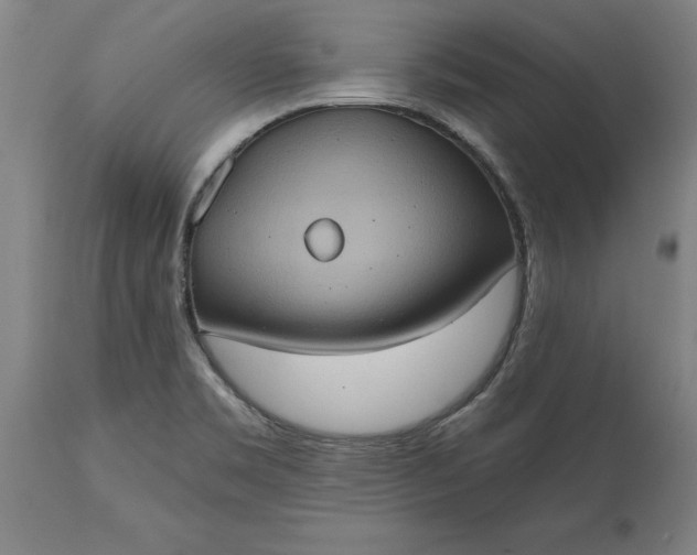 X0000115451469200911181535