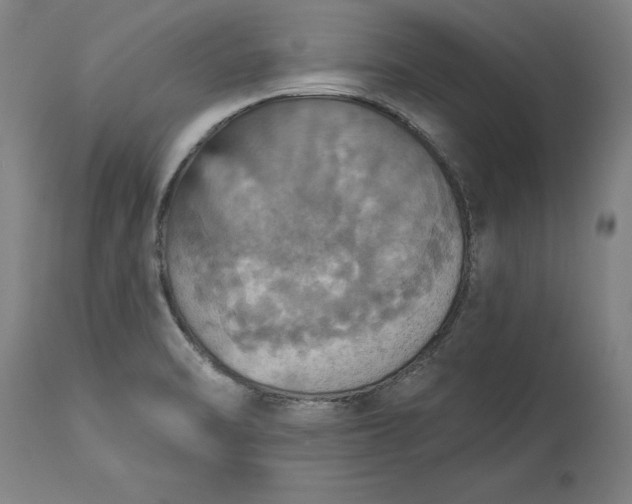 X0000115451470200911181535