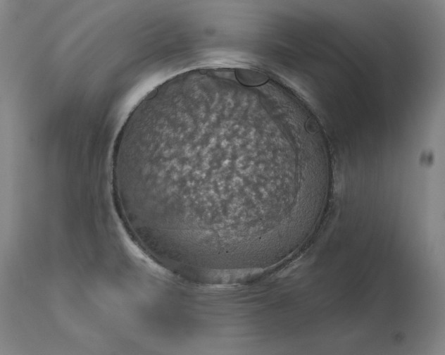 X0000115451471200911181535