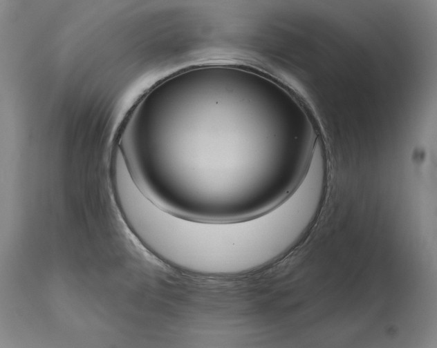 X0000115451472200911181535