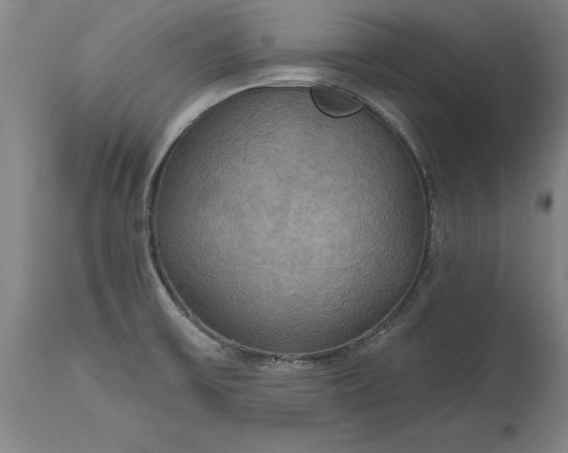 X0000115451475200911181535