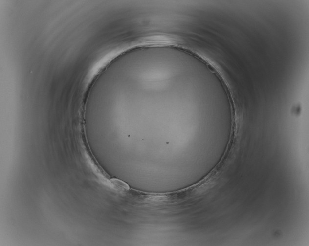 X0000115451477200911181535