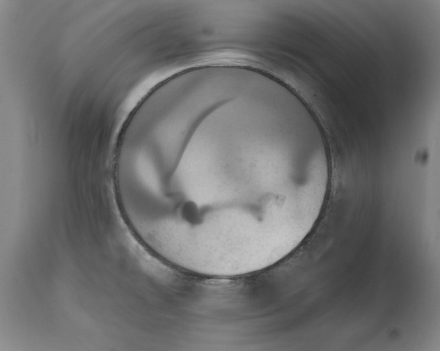 X0000115451478200911181535