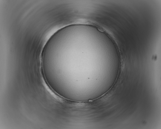 X0000115451479200911181535