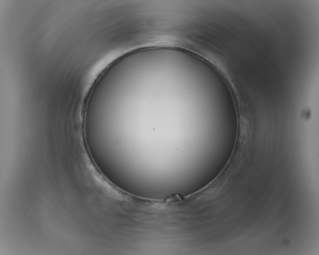 X0000115451480200911181535