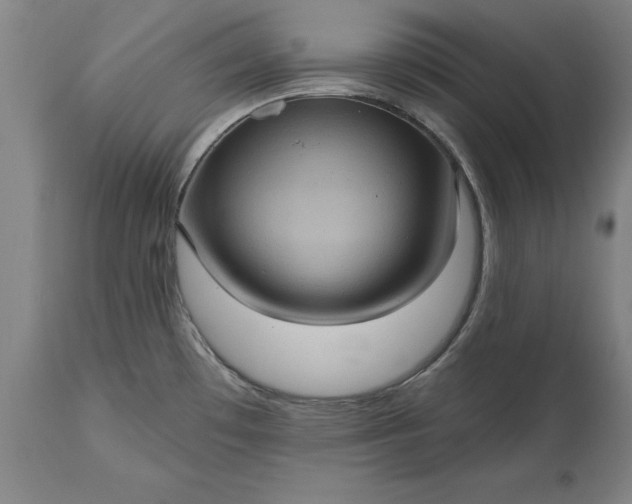 X0000115451481200911181535