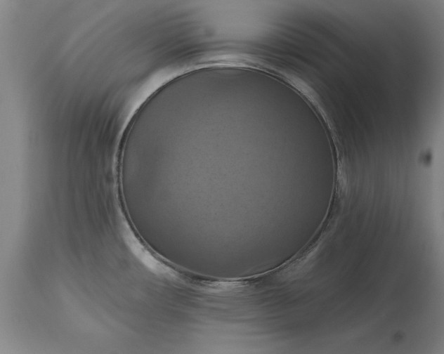 X0000115451482200911181535