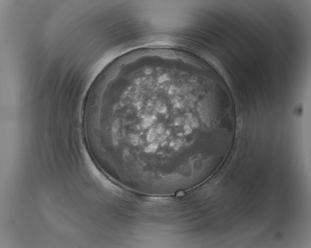 X0000115451483200911181535