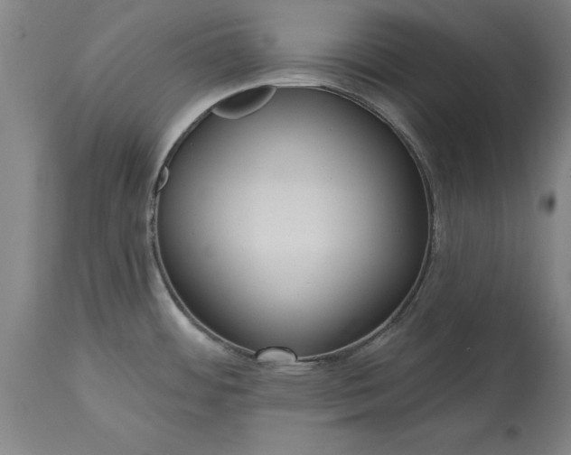 X0000115451484200911181535