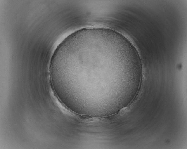 X0000115451485200911181535