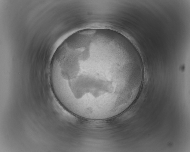 X0000115451486200911181535