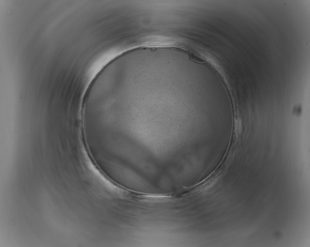 X0000115451487200911181535