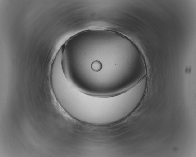 X0000115451488200911181535