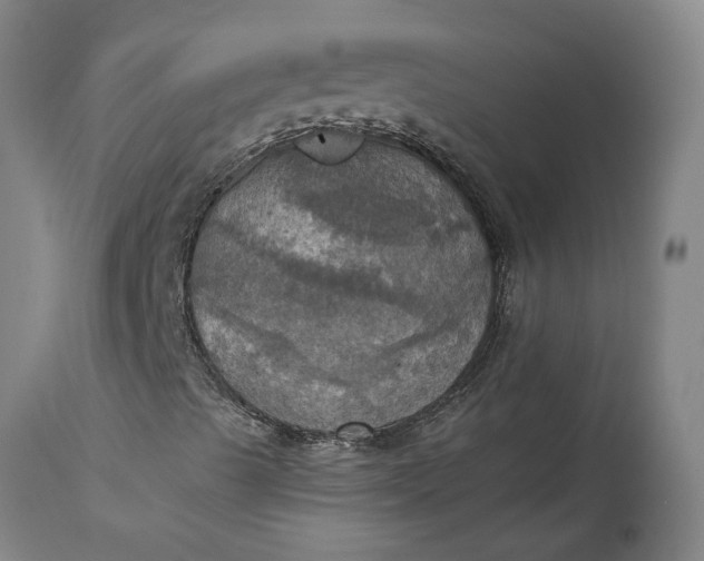 X0000115451489200911181534