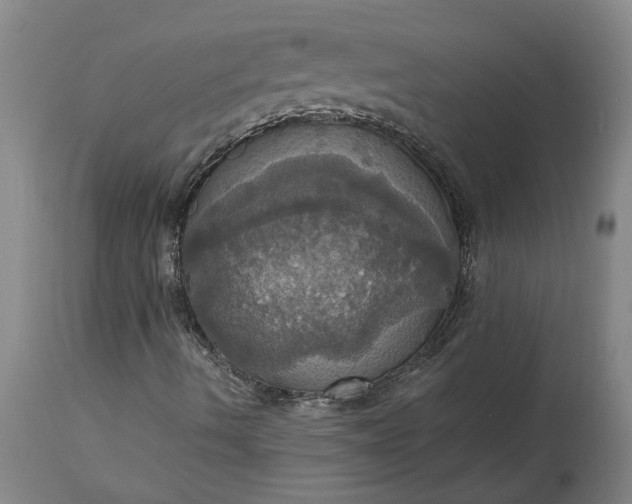 X0000115451490200911181534