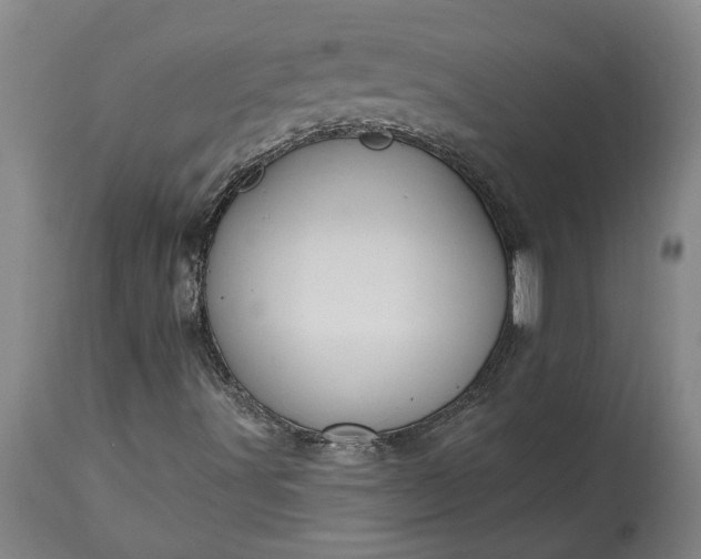 X0000115451491200911181534