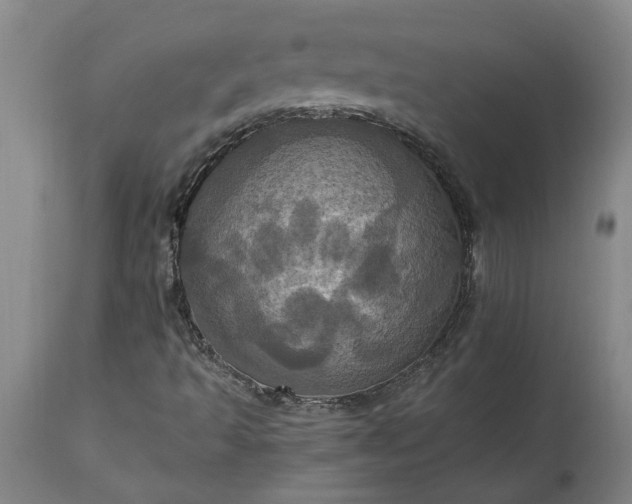 X0000115451493200911181534