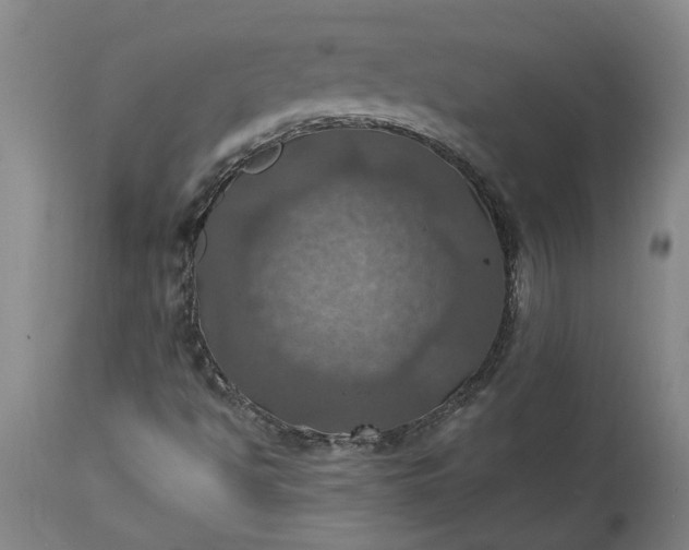 X0000115451494200911181534