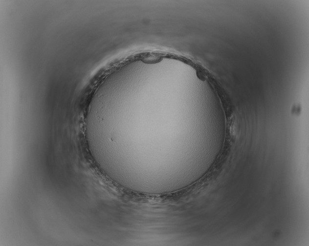 X0000115451495200911181534