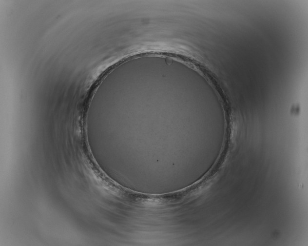 X0000115451497200911181534