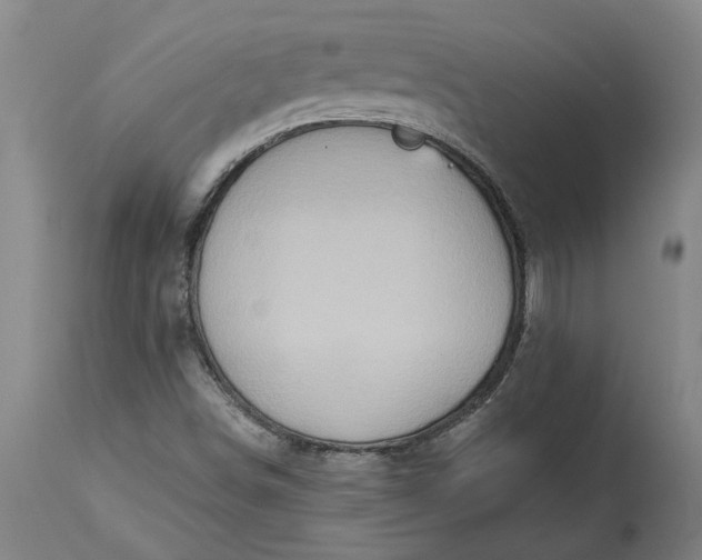 X0000115451498200911181534