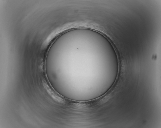 X0000115451499200911181534