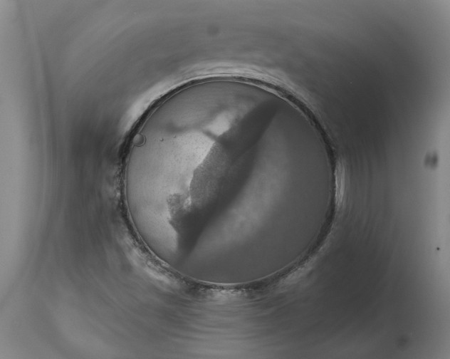 X0000115451501200911181534